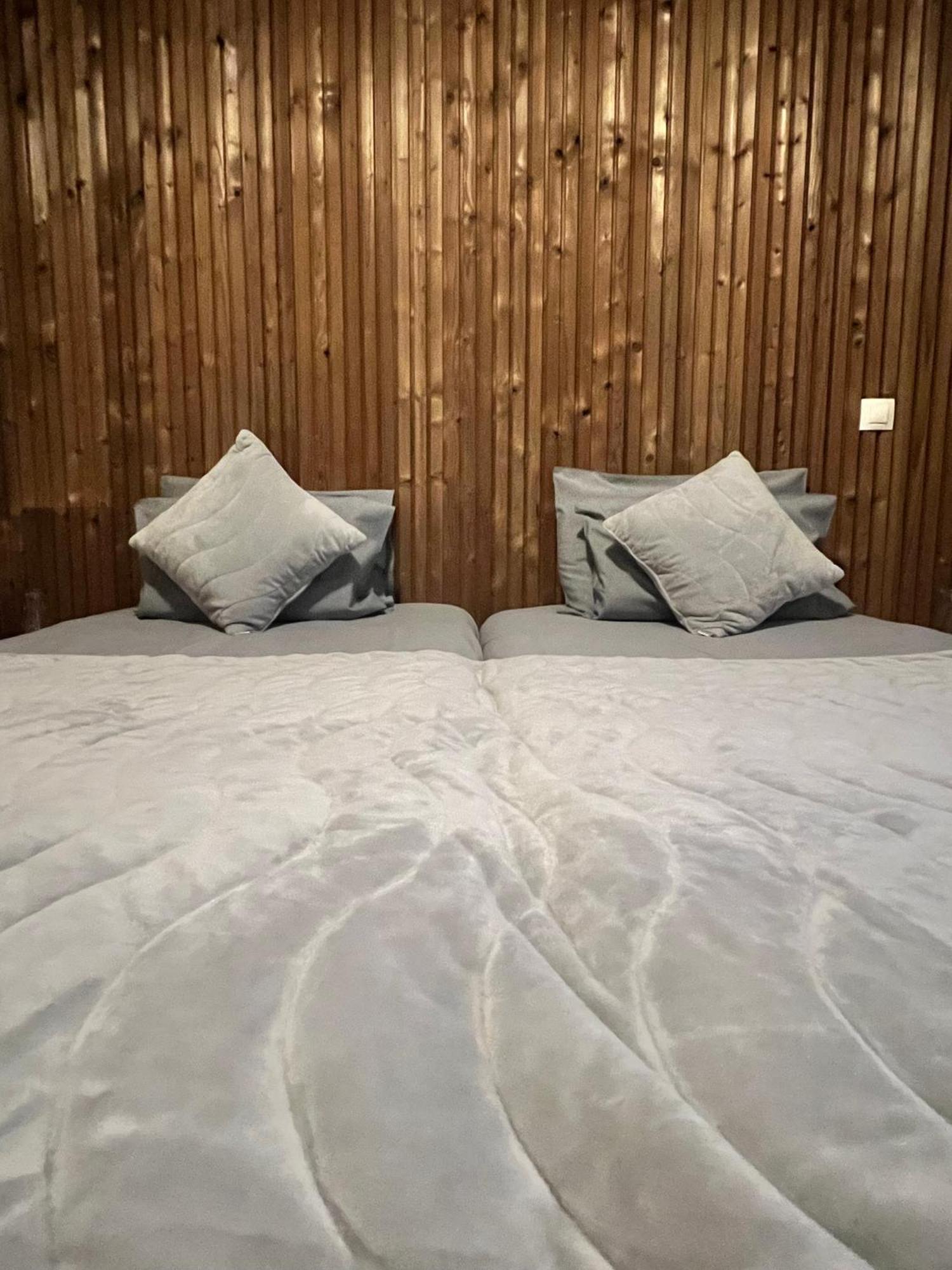 Zasheva Kushta Guesthouse バンスコ エクステリア 写真